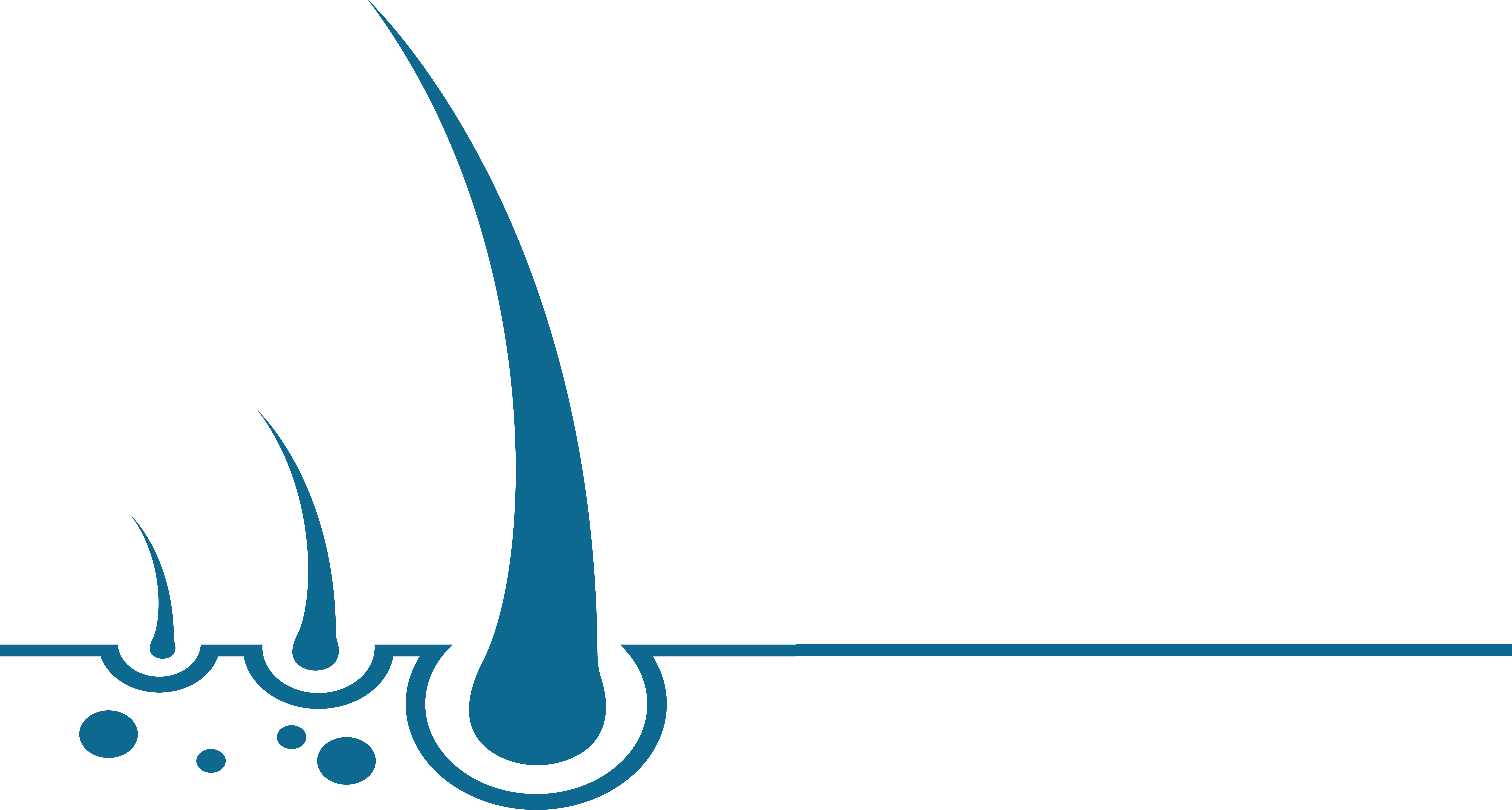 Hair Loss Masters - Trichologist & Master Stylist